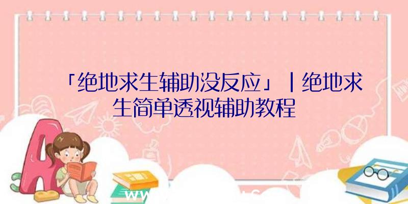 「绝地求生辅助没反应」|绝地求生简单透视辅助教程